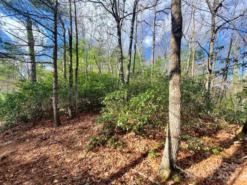 Lot at Bakersville, photo 6 of 7