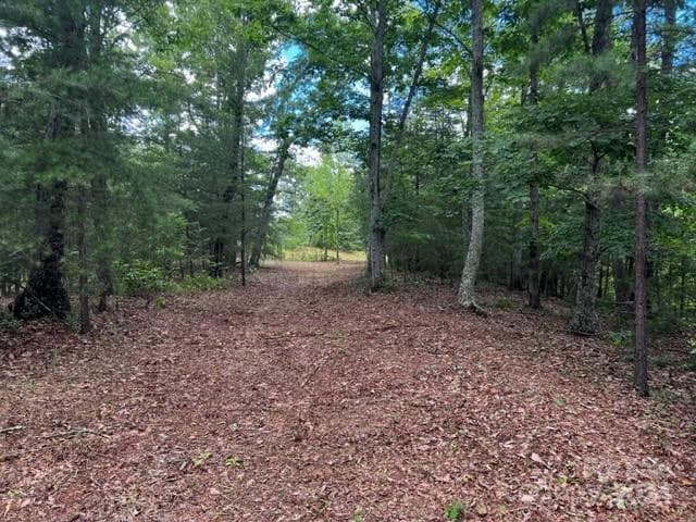 Acreage at Mill Spring, photo 2 of 7