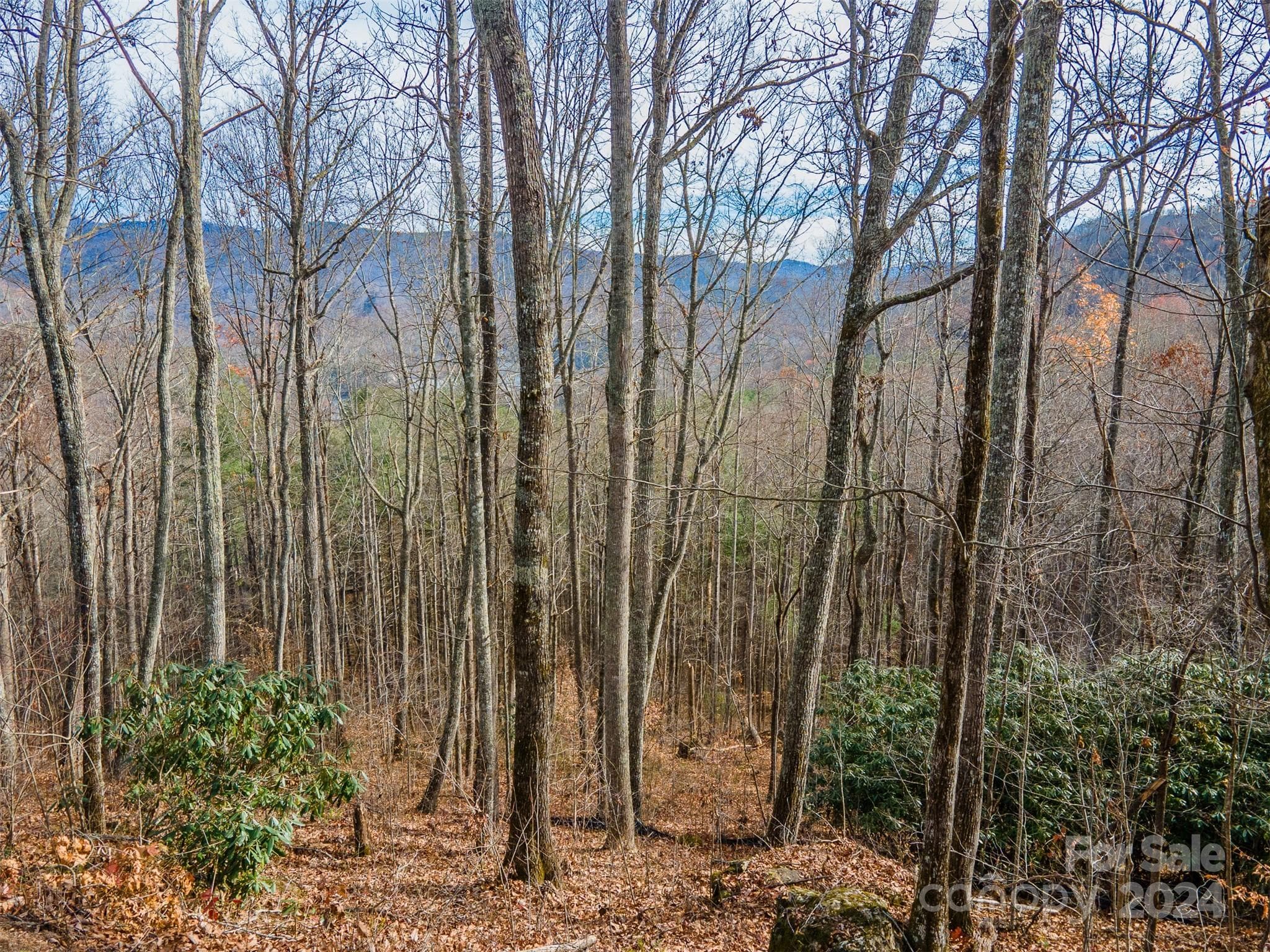 Lot at 520 Morningside Drive, Tuckasegee, photo 5 of 19