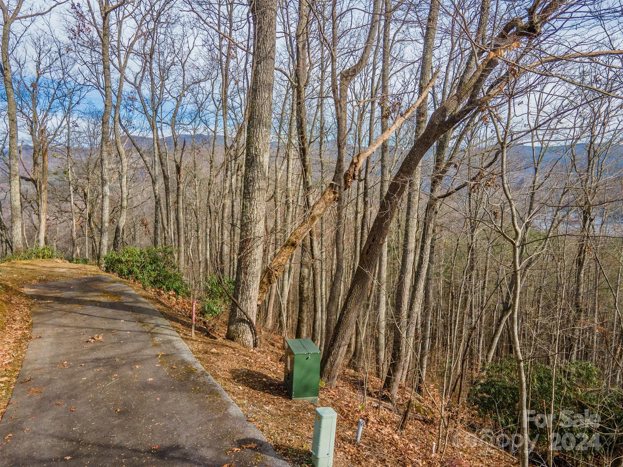 Lot at 520 Morningside Drive, Tuckasegee, photo 12 of 19