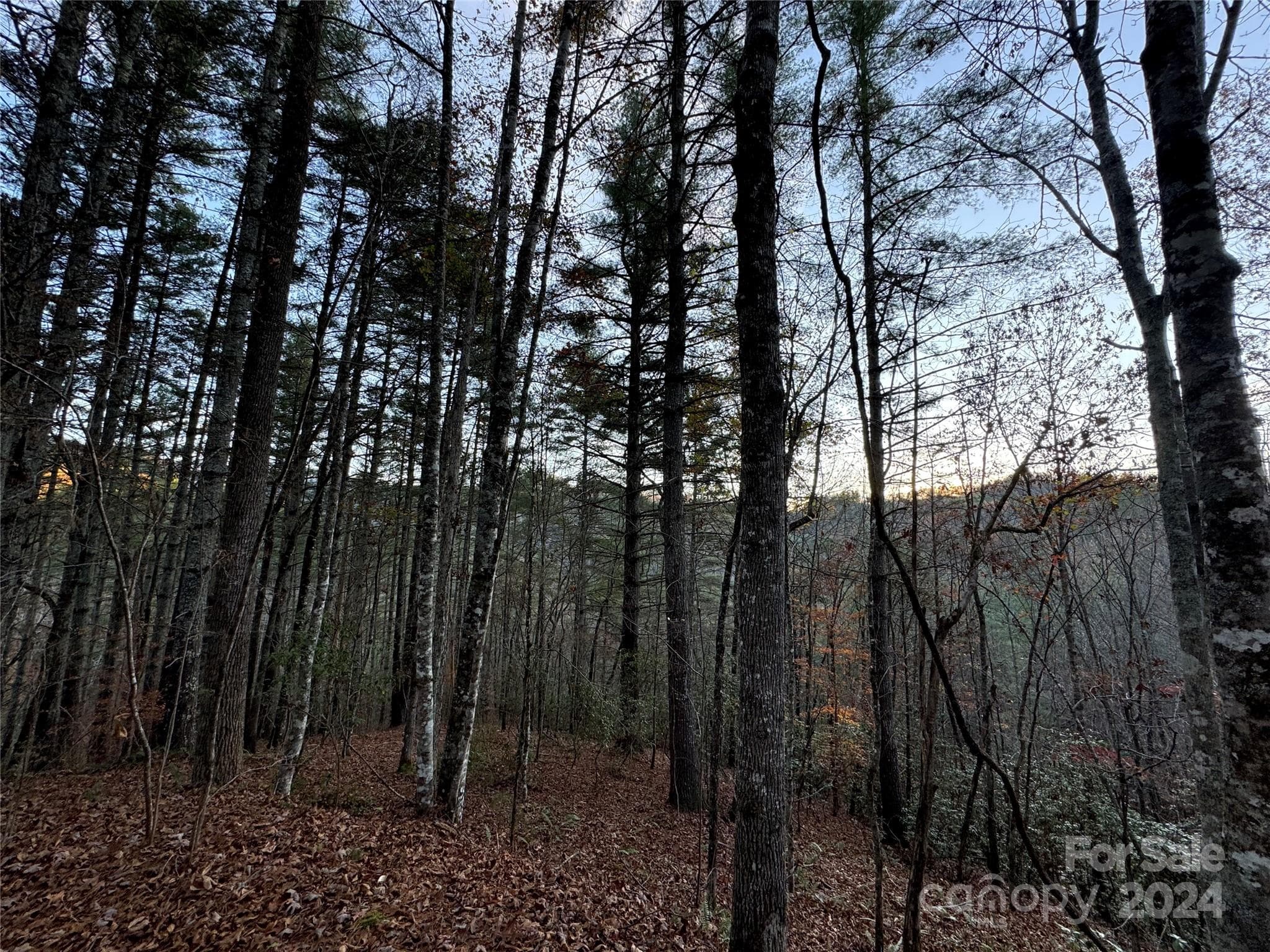 Lot at 00 Sky Ridge Drive, Bryson City, photo 5 of 14