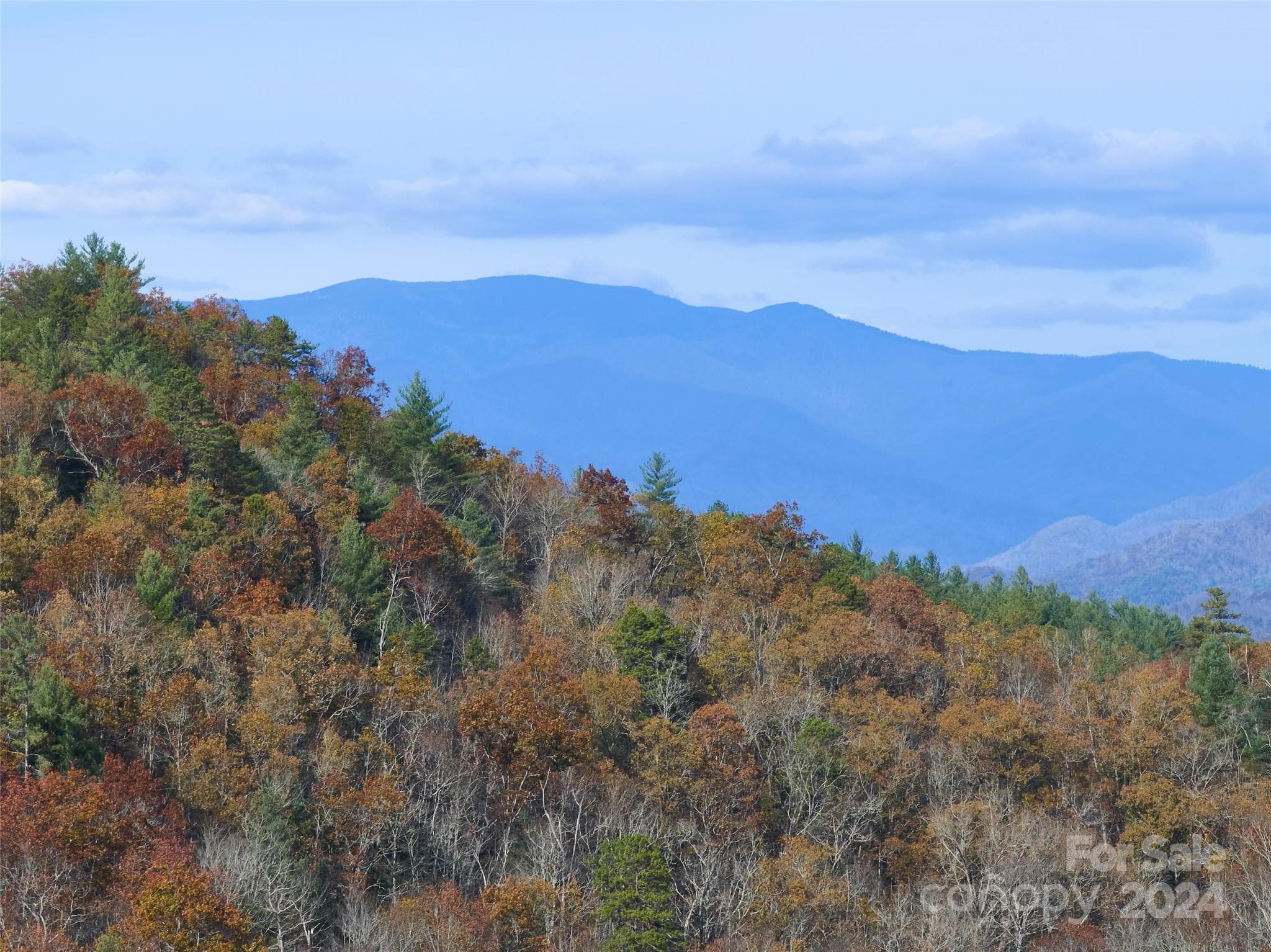 Lot at 00 Sky Ridge Drive, Bryson City, photo 6 of 14
