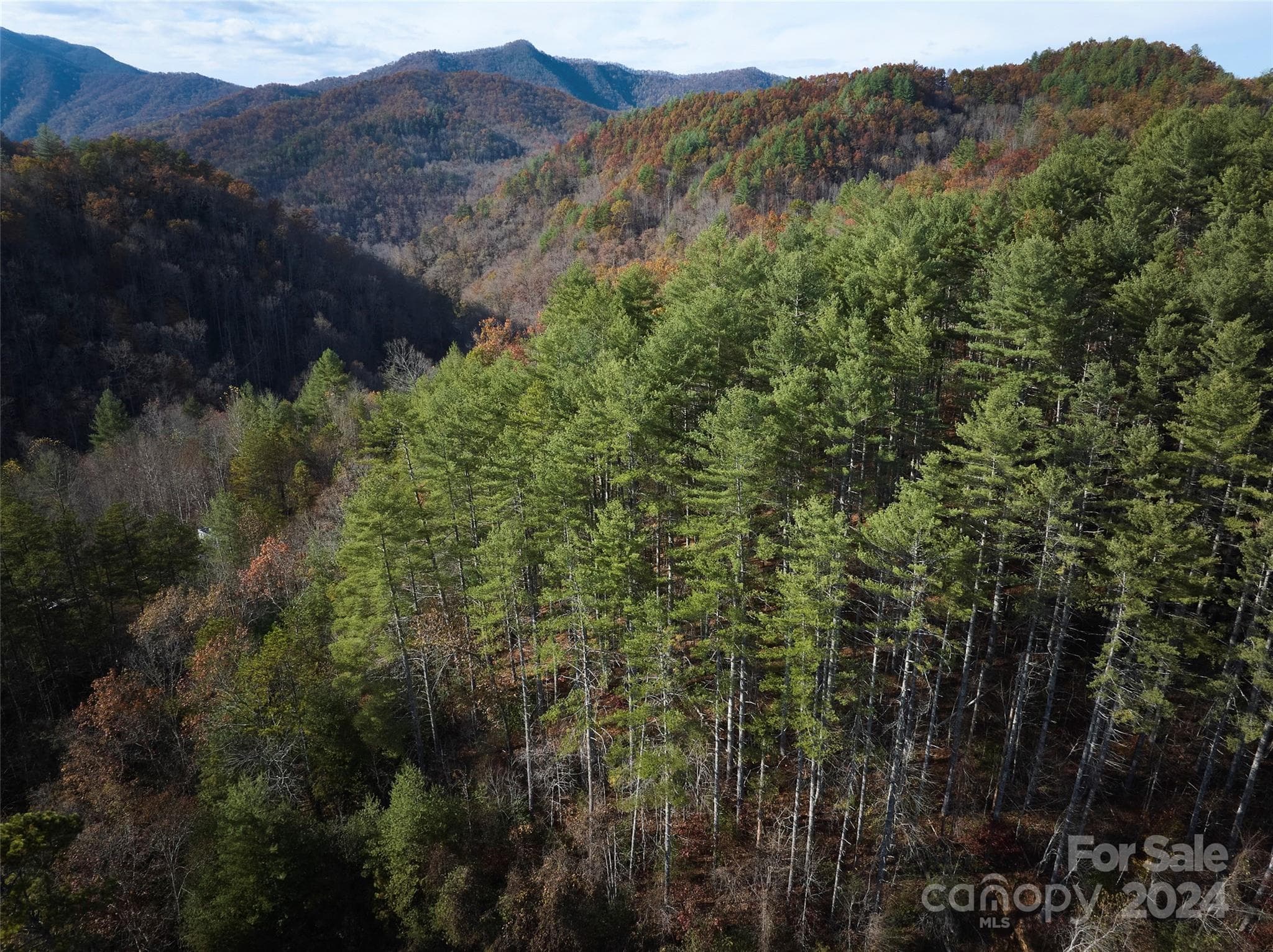 Lot at 00 Sky Ridge Drive, Bryson City, photo 13 of 14