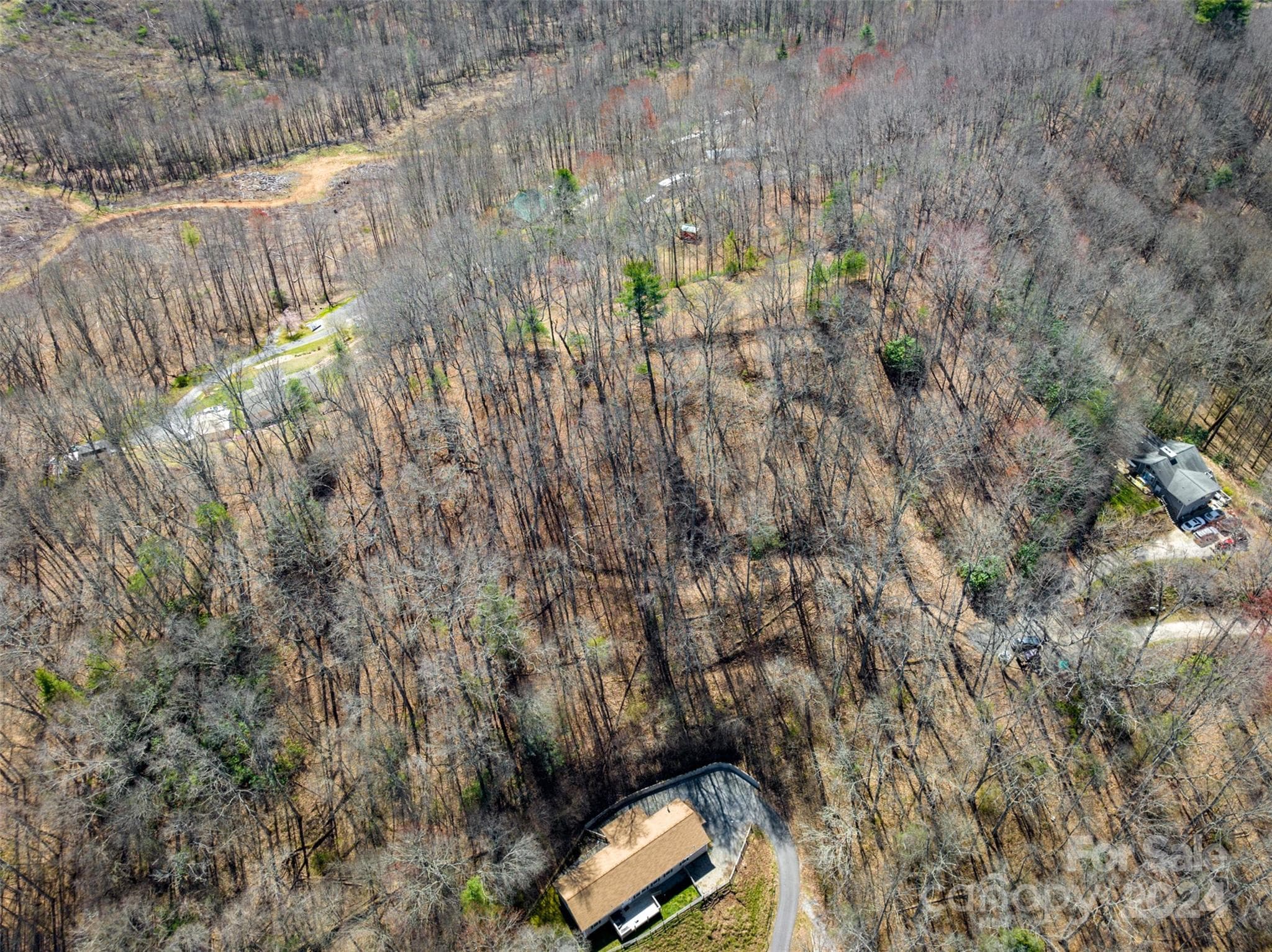 Lot at Waynesville, photo 3 of 10