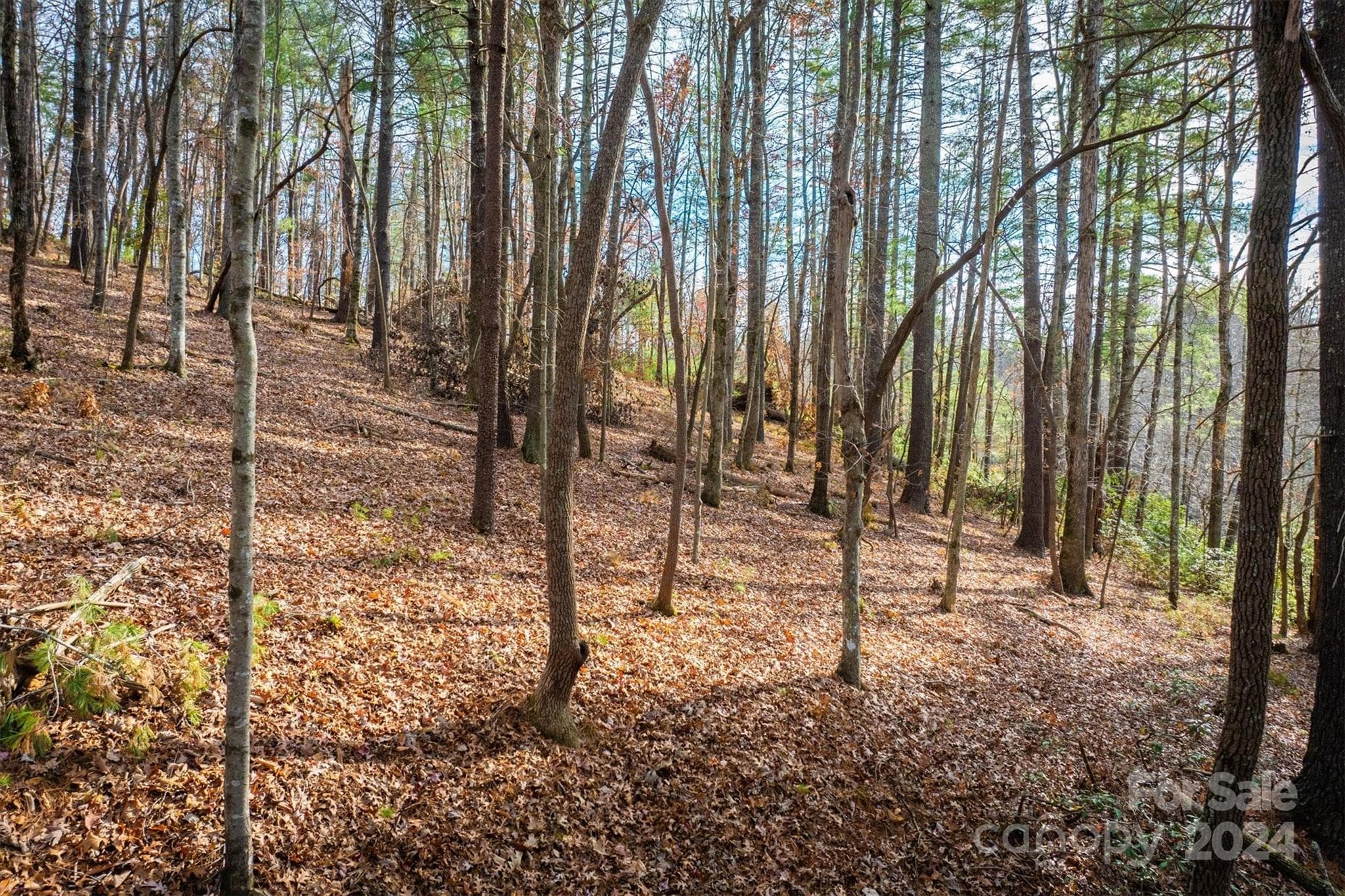 Lot at 133 James Bob Stafford Drive, Nebo, photo 6 of 12