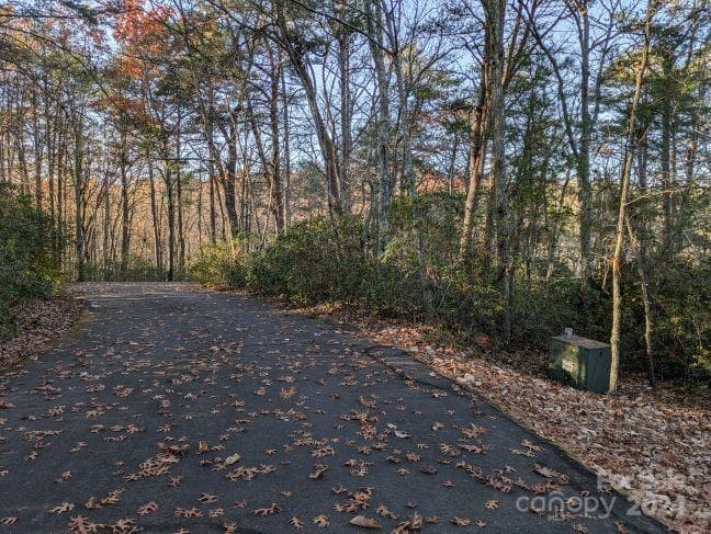 Lot 59 & 60 Willow Lane