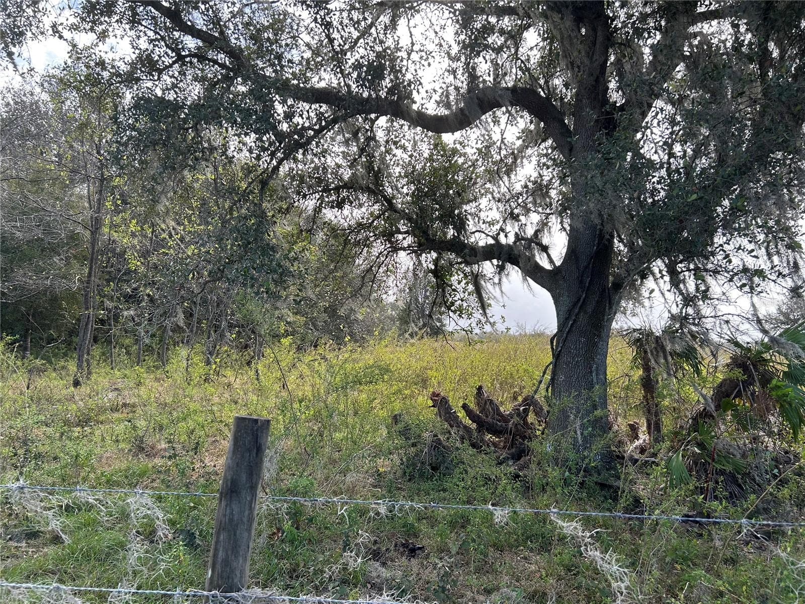 Land at SR-64, ZOLFO SPRINGS, photo 5 of 14