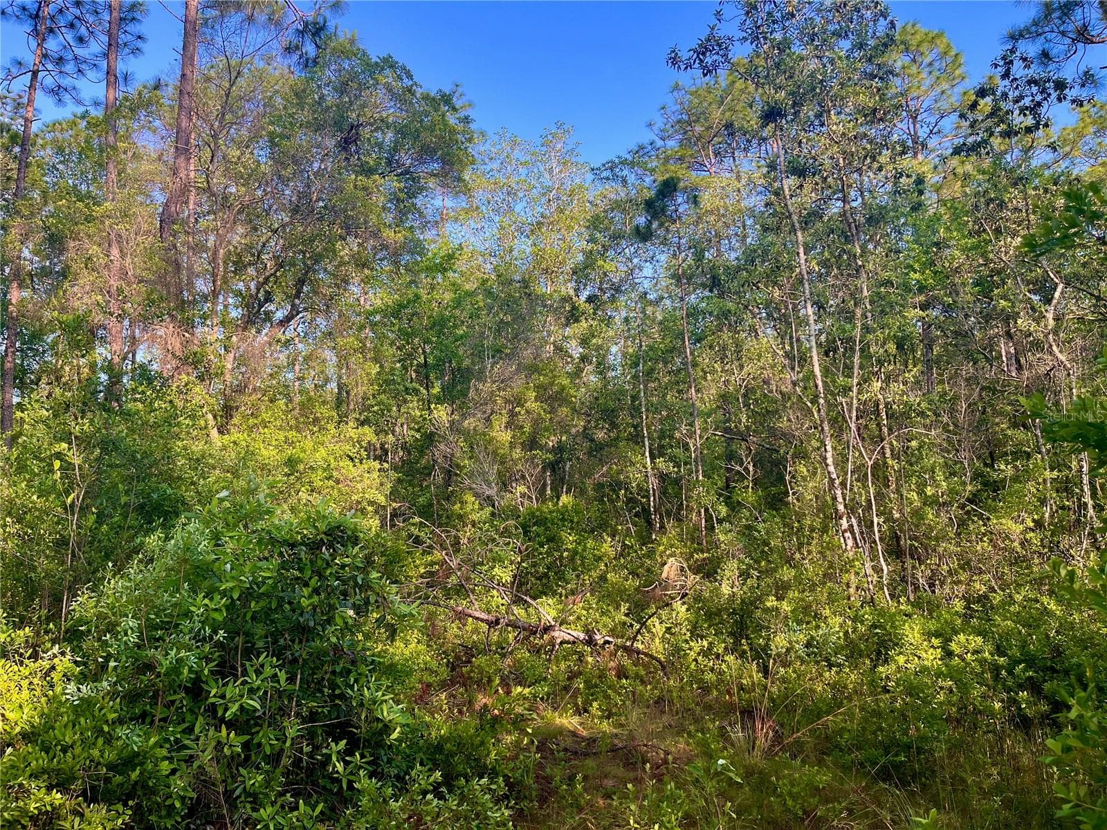 Land at PINETREE LN, DEFUNIAK SPRINGS, photo 37 of 40
