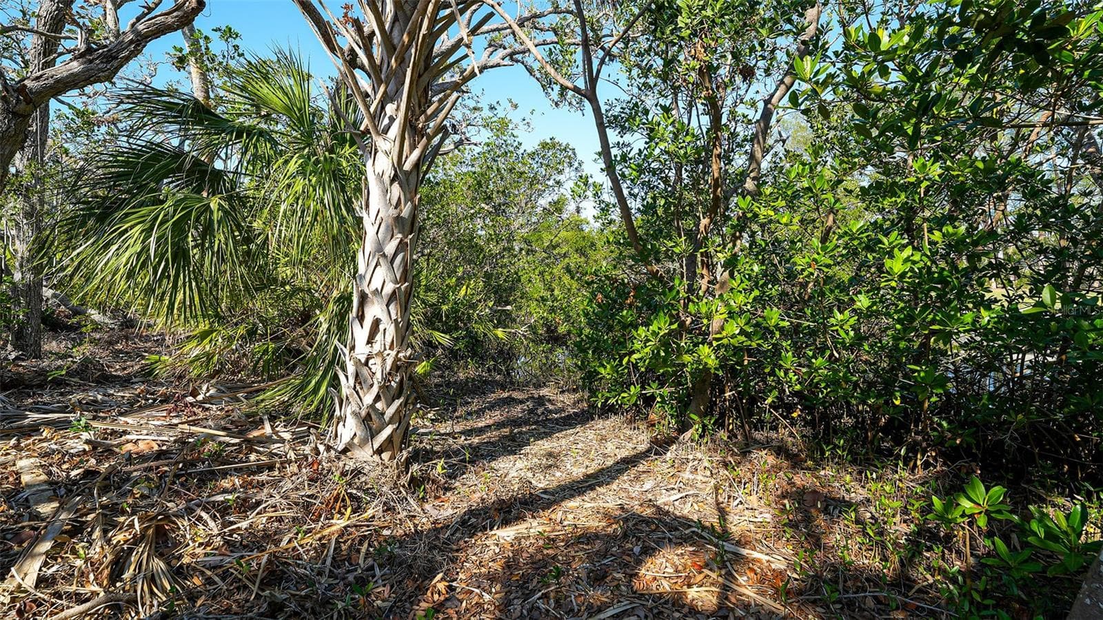 Land at 660 LONGVIEW DR, LONGBOAT KEY, photo 26 of 33