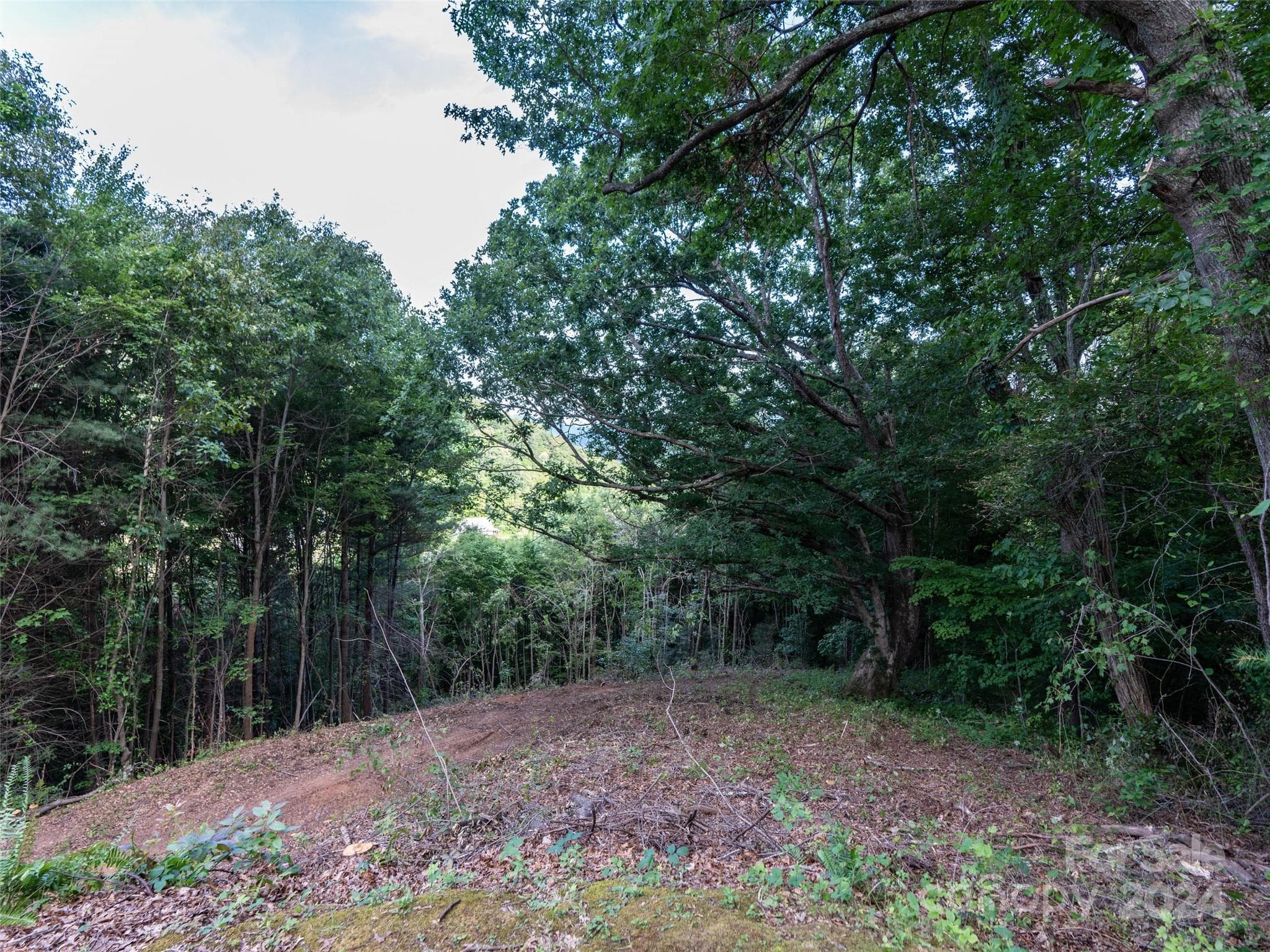 Lot at TBD Rimesdale Way, Waynesville, photo 4 of 24