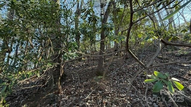 Lot at Lake Lure, photo 11 of 23