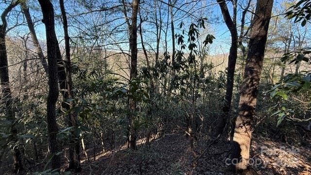 Lot at Lake Lure, photo 12 of 23