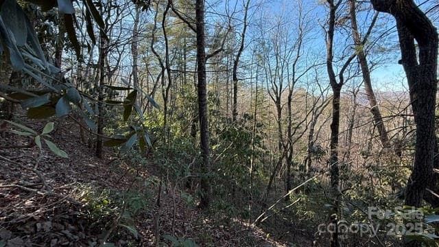 Lot at Lake Lure, photo 13 of 23