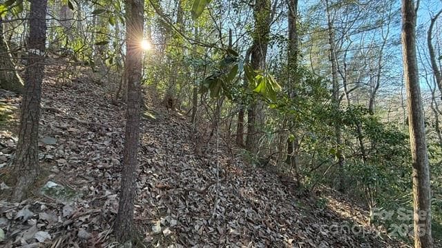 Lot at Lake Lure, photo 14 of 23