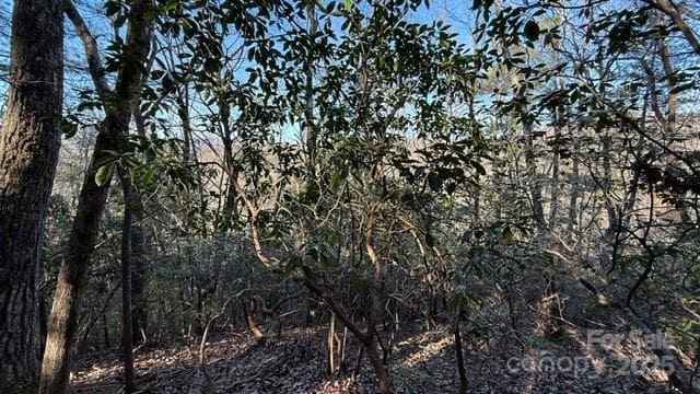 Lot at Lake Lure, photo 15 of 23