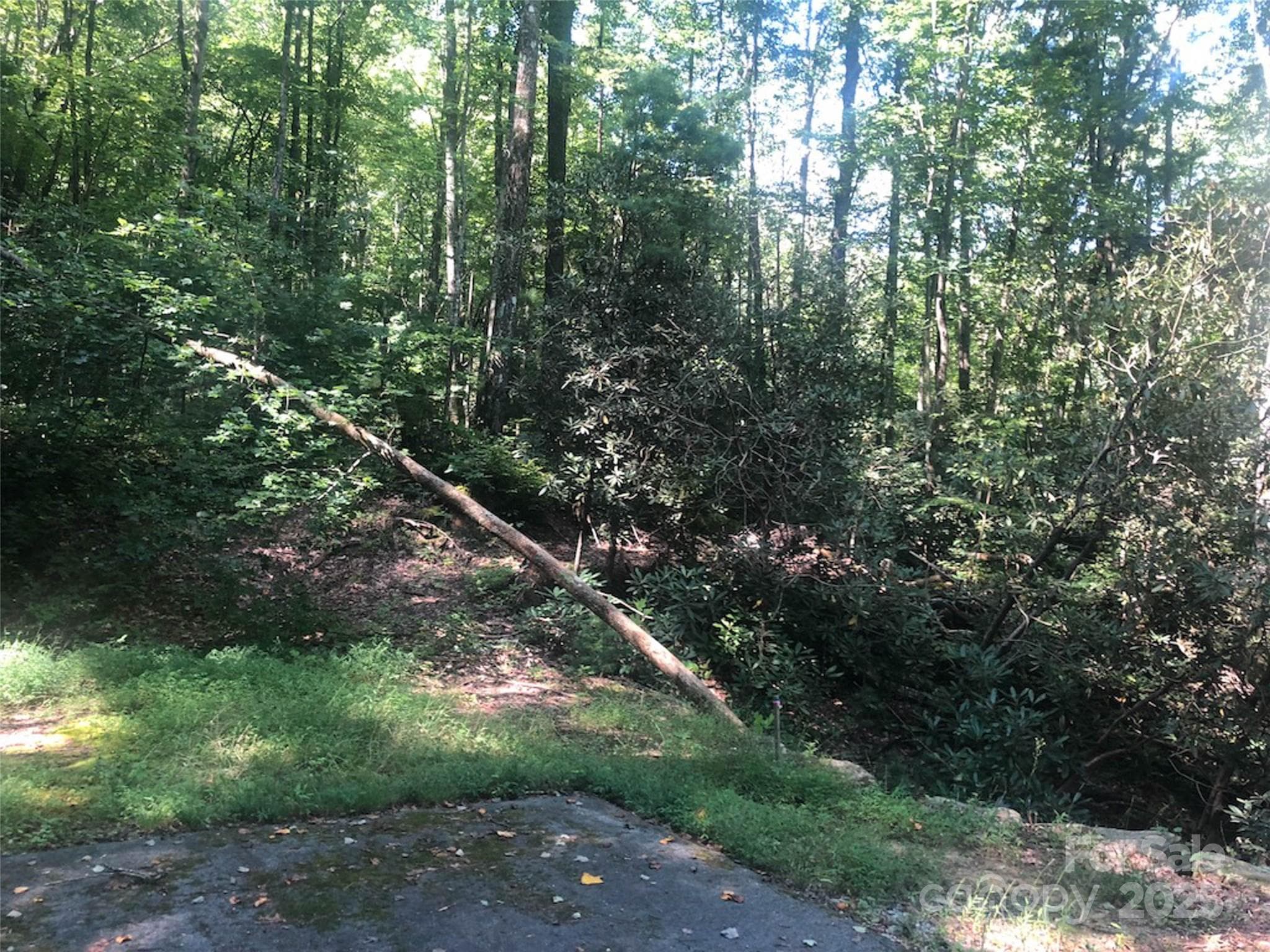 TBD Peppervine Circle