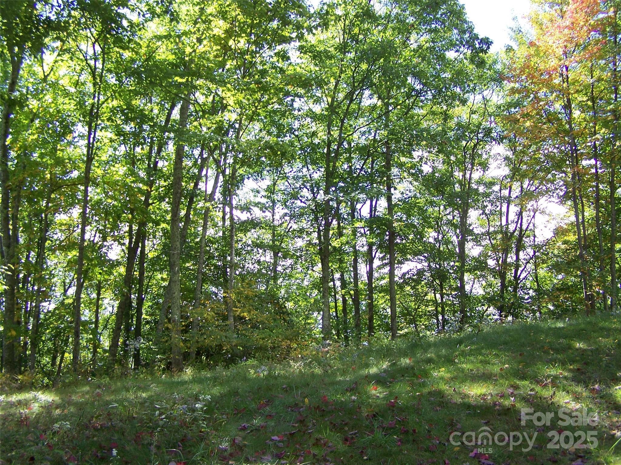 Acreage at Acreage, Maggie Valley, photo 2 of 41