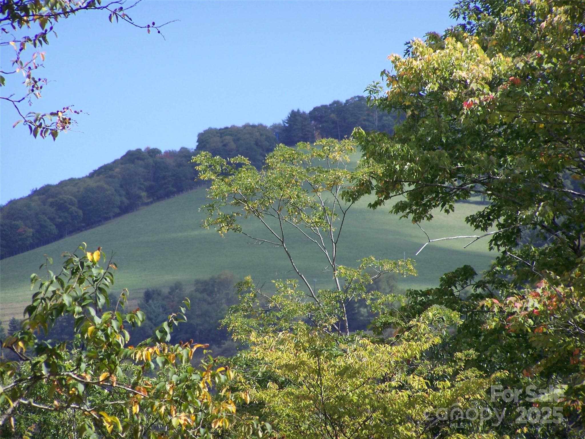 Acreage at Acreage, Maggie Valley, photo 4 of 41