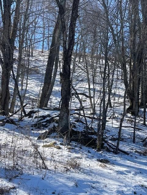 Lot at Waynesville, photo 2 of 22