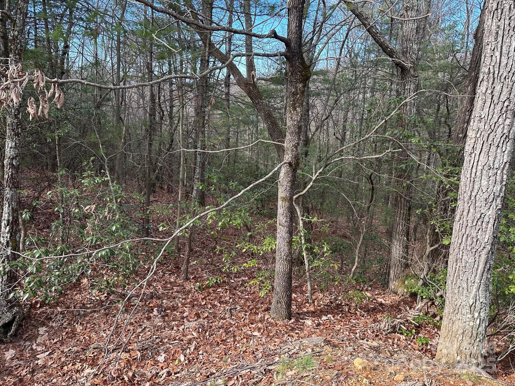 Lot at Sutters Ridge, McGrady, photo 3 of 7