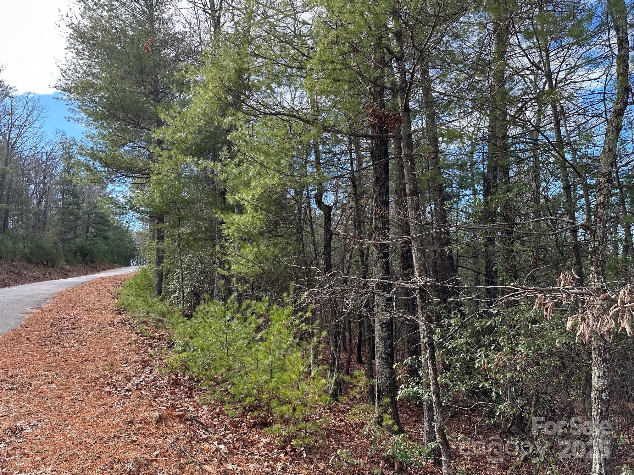 Lot at Sutters Ridge, McGrady, photo 4 of 7