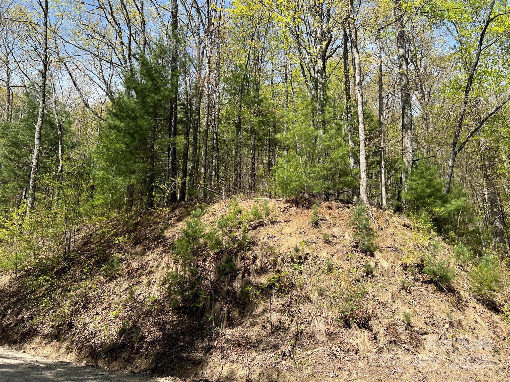 00 Hidden Trail