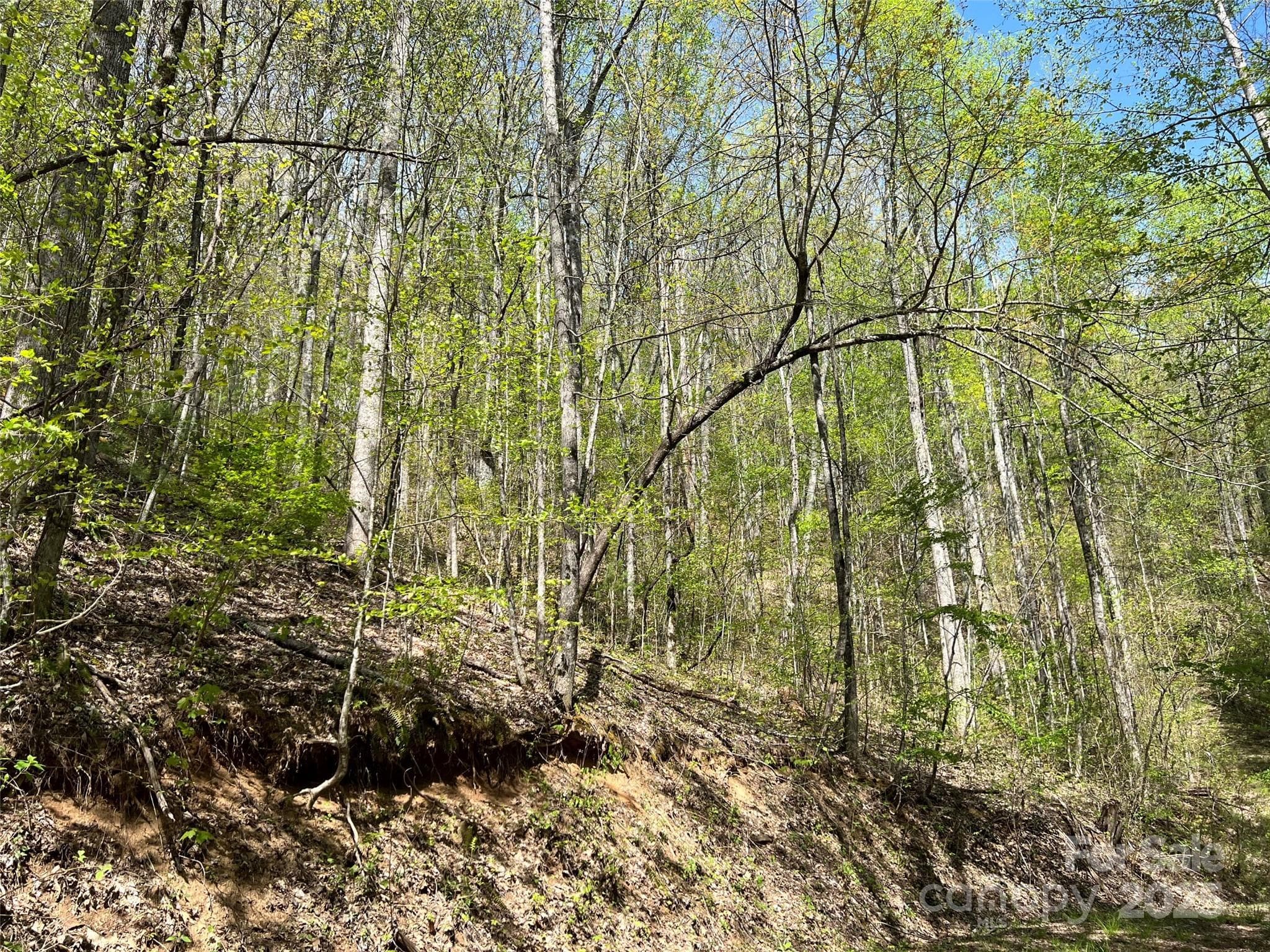 Lot at 00 Hidden Trail, Franklin, photo 2 of 12