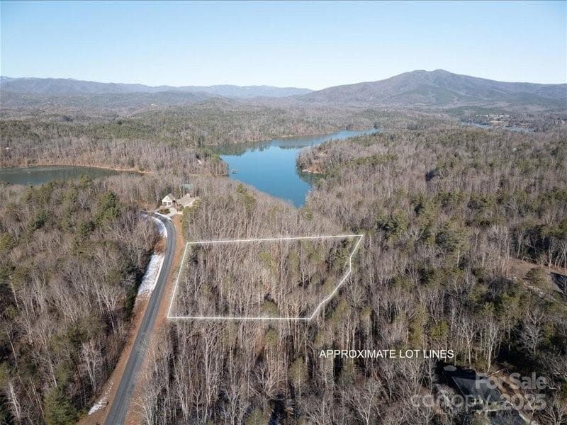 Lot at Nebo, photo 2 of 21