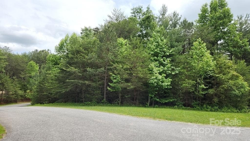 Lot at Morganton, photo 10 of 13