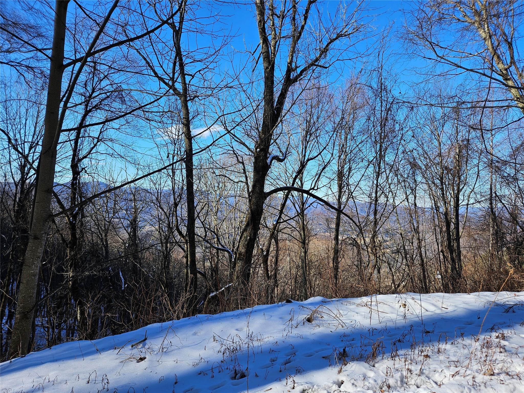 Lot at Waynesville, photo 2 of 4