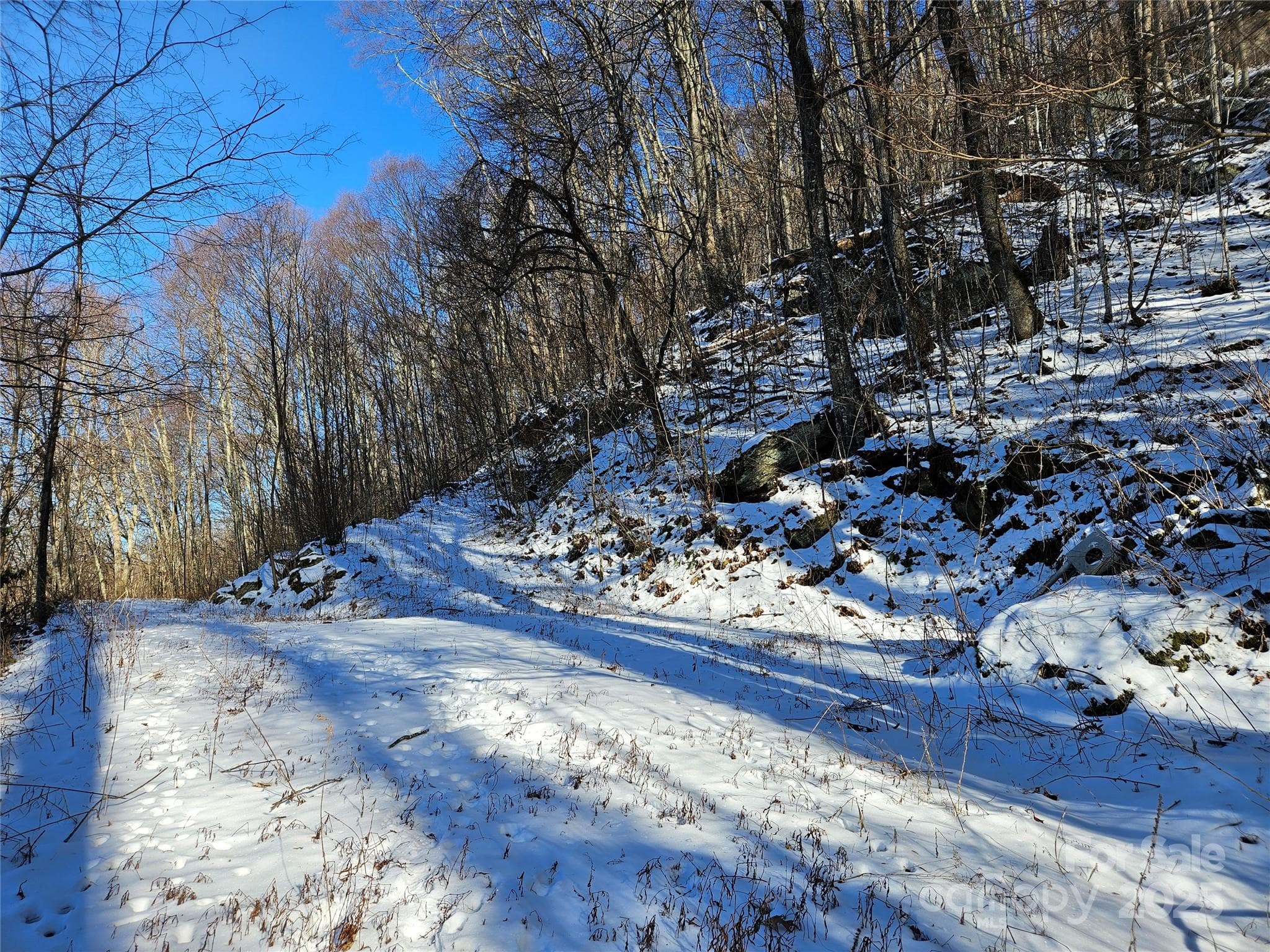 Lot at Waynesville, photo 3 of 4