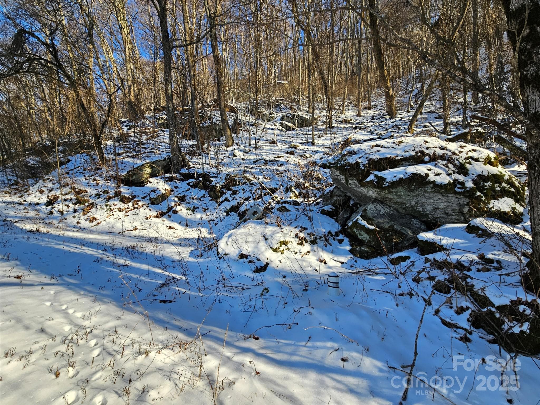 Lot at Waynesville, photo 4 of 4