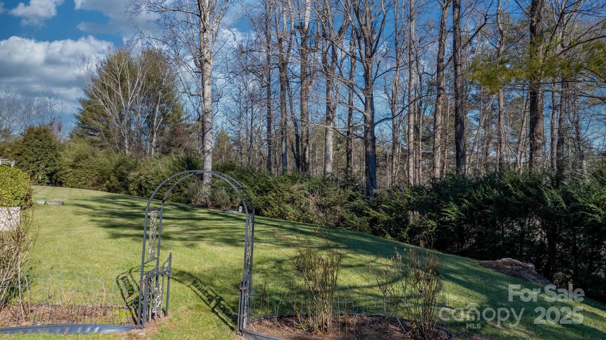 Side Yard - Lenoir