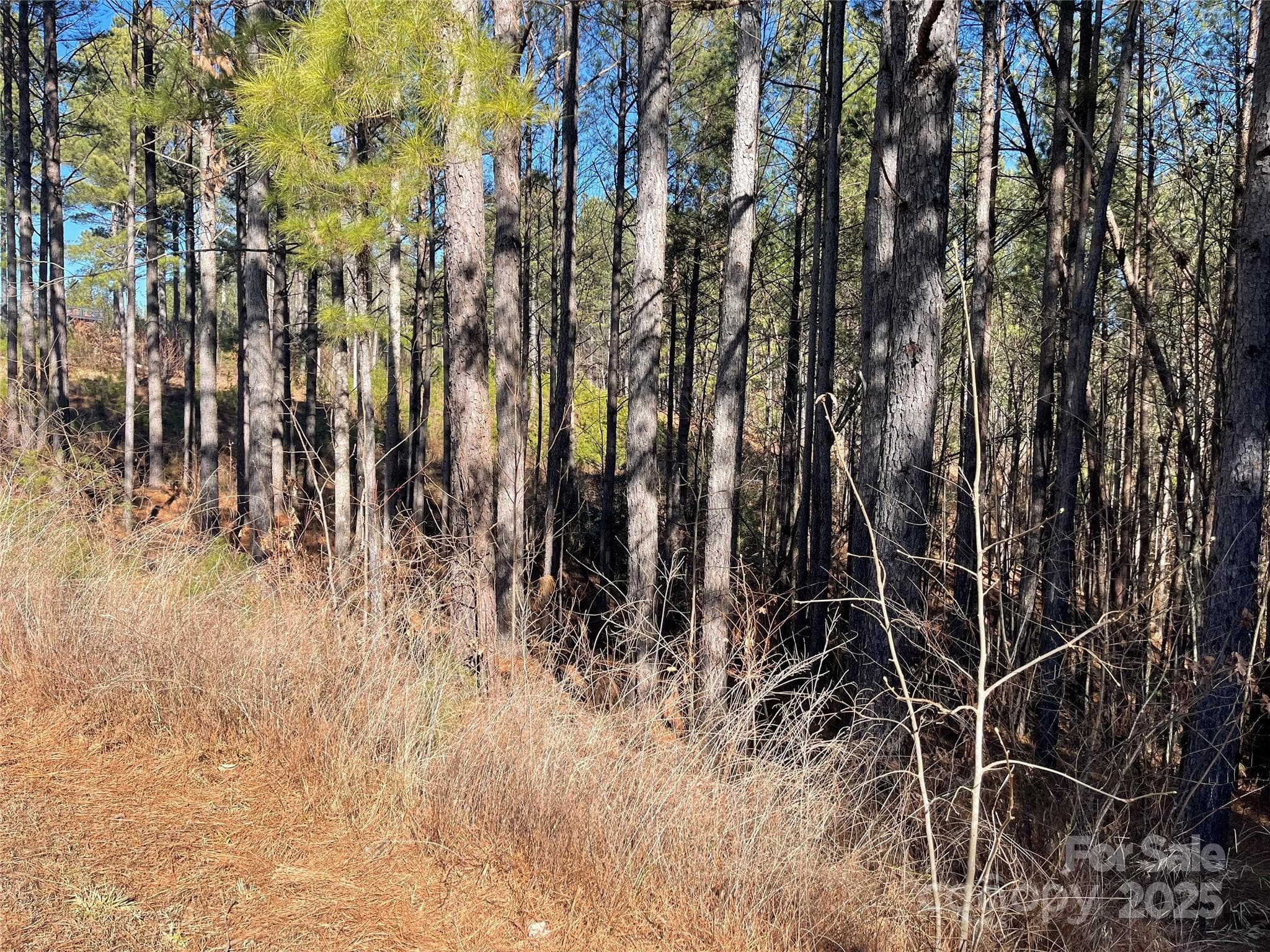 Actual lot. - 109 Shortoff Trail, Valdese