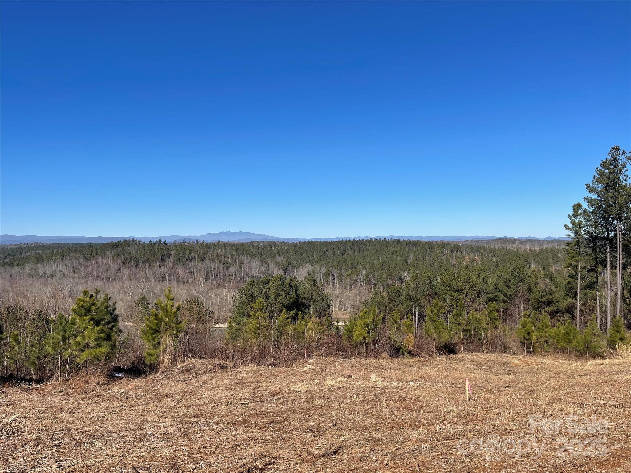 Nearby view. Not from acuual lot but viewing area within the development. - 109 Shortoff Trail, Valdese