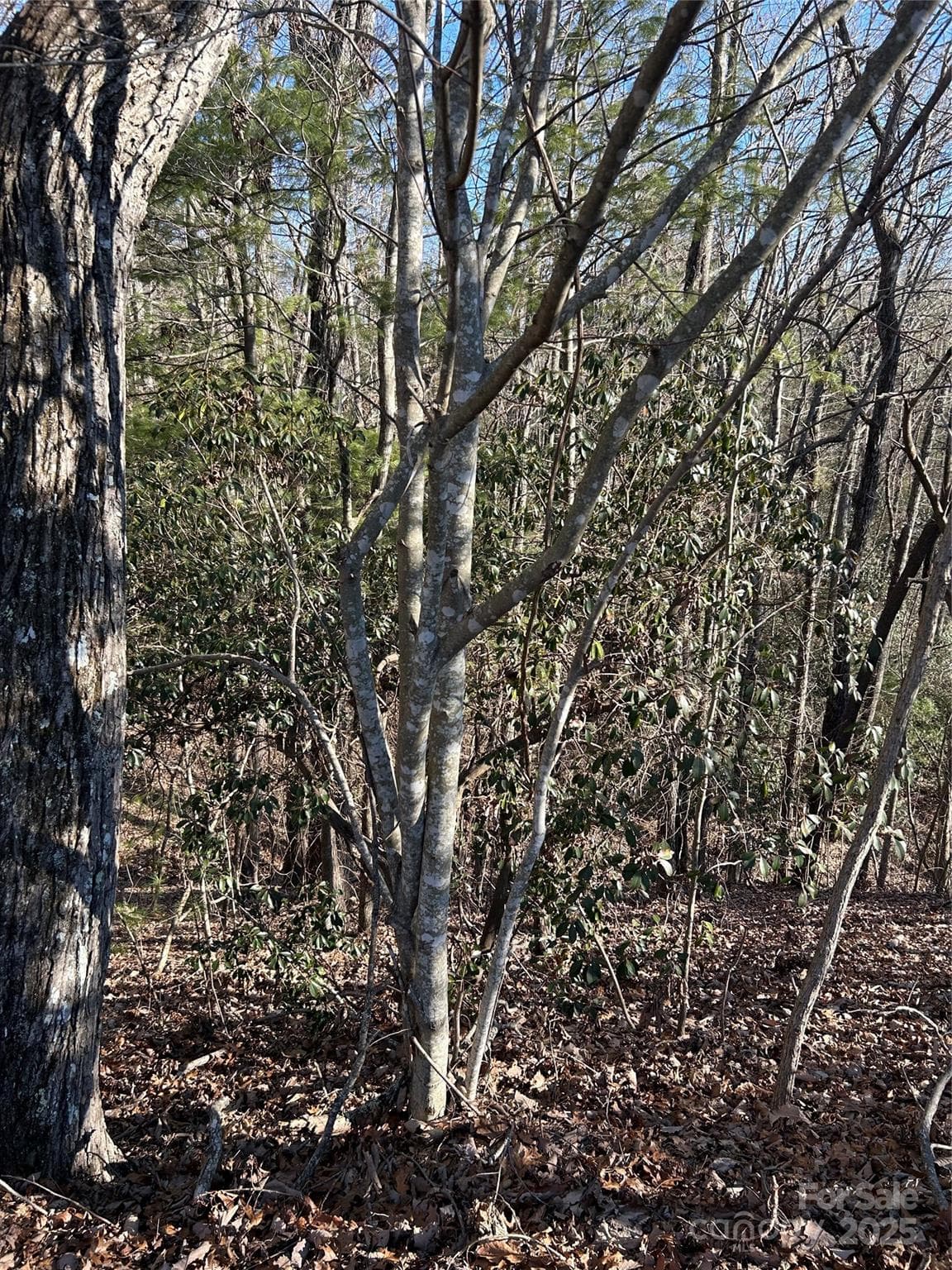 Lot at Hendersonville, photo 2 of 6