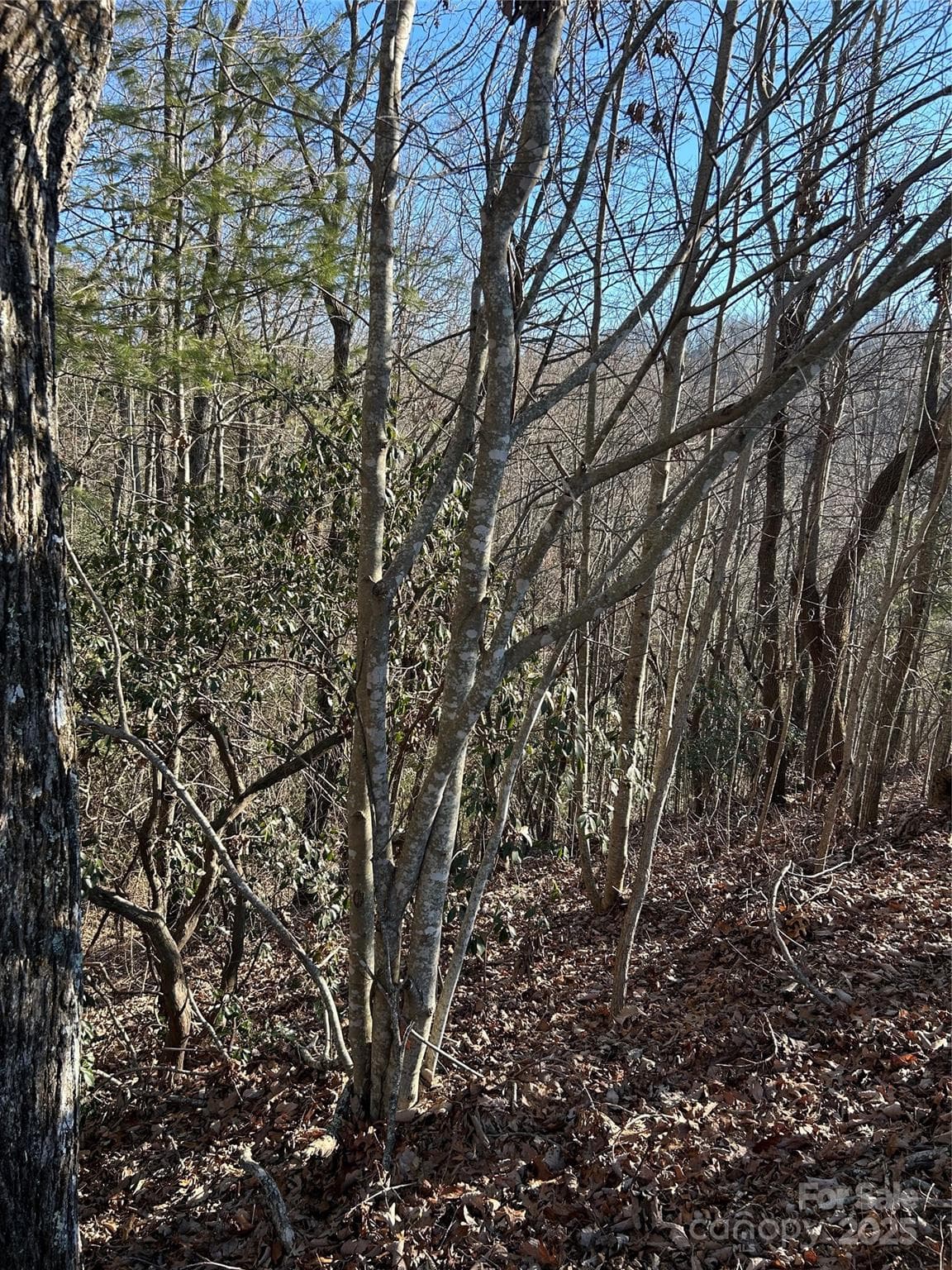 Lot at Hendersonville, photo 3 of 6