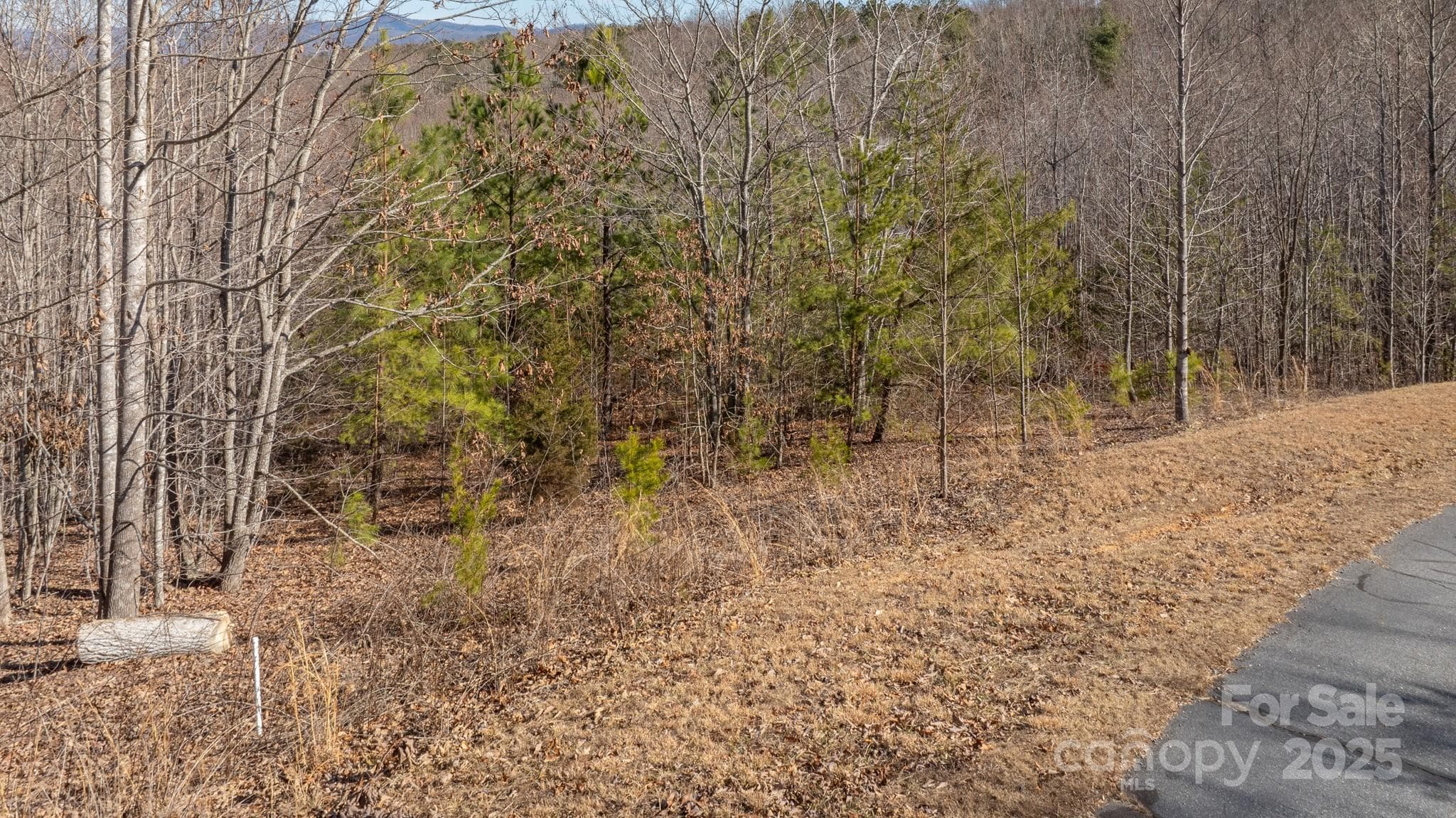Lot at Nebo, photo 2 of 46