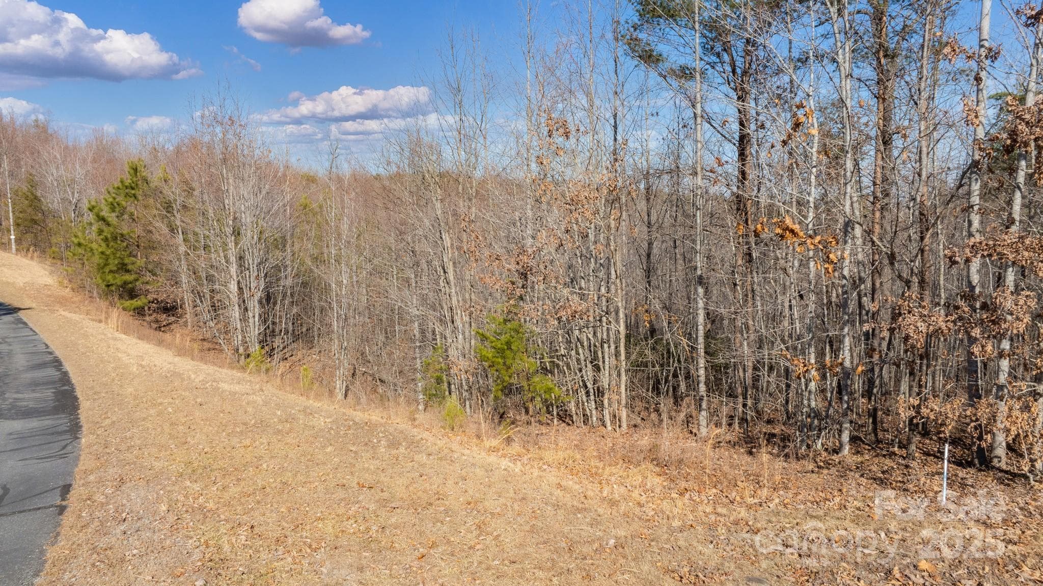 Lot at Nebo, photo 3 of 46