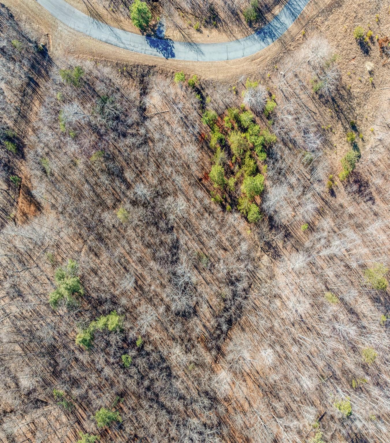 Lot at Nebo, photo 4 of 46