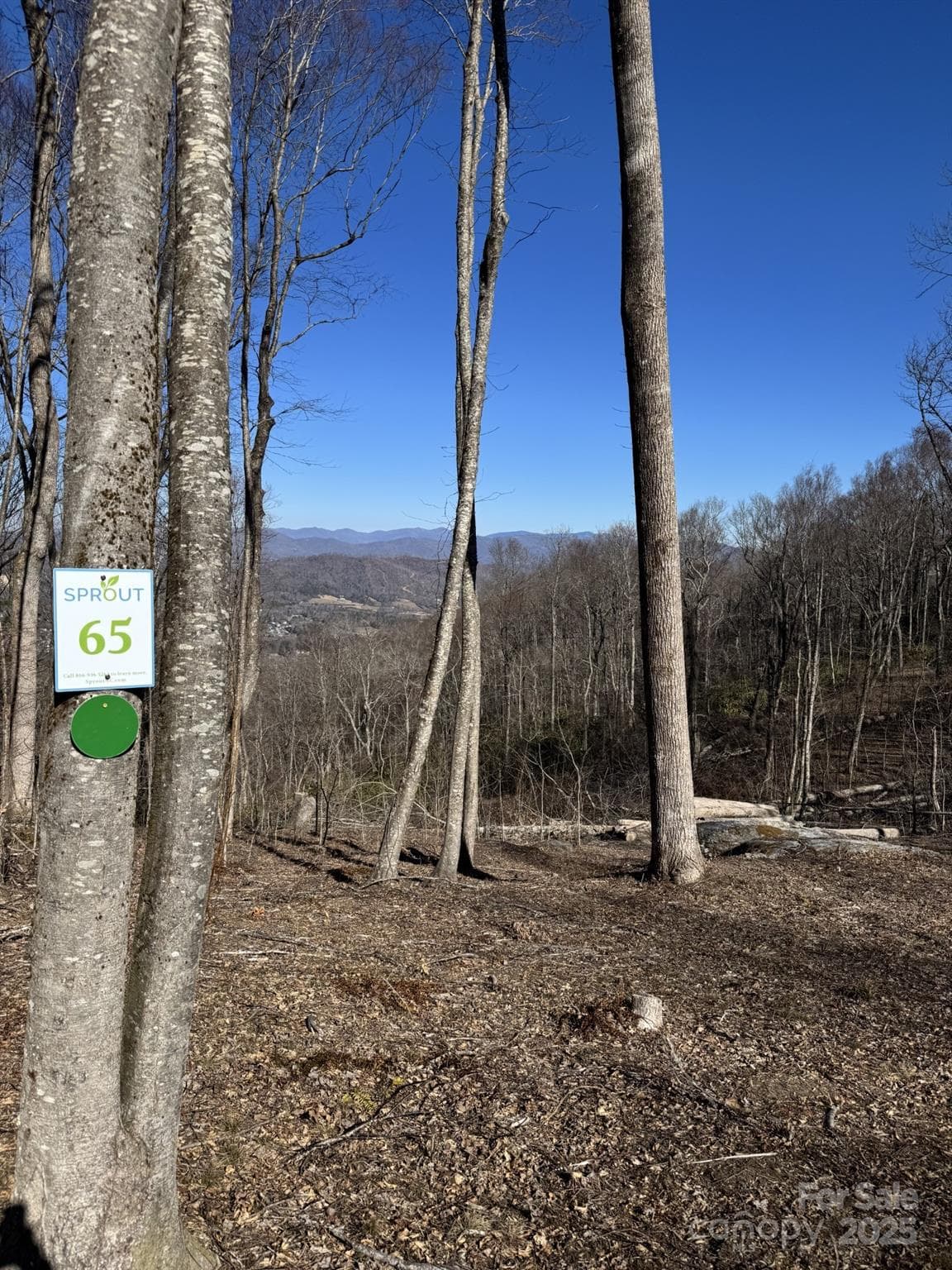 Lot at Hendersonville, photo 2 of 8