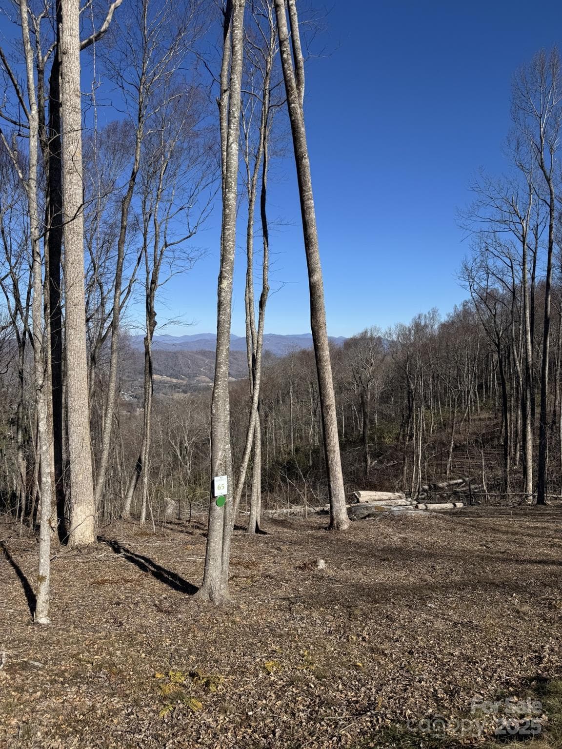 Lot at Hendersonville, photo 3 of 8