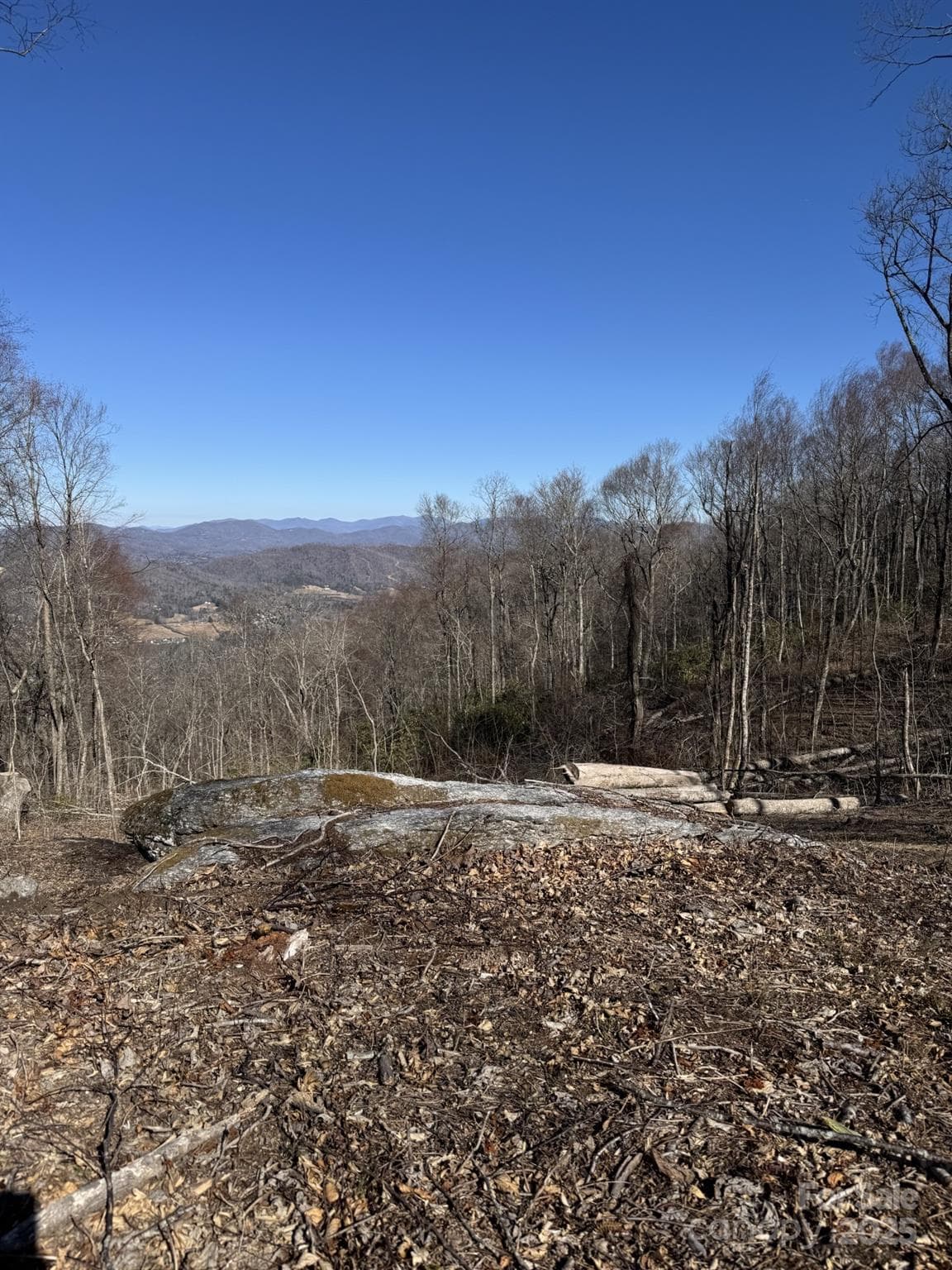 Lot at Hendersonville, photo 4 of 8