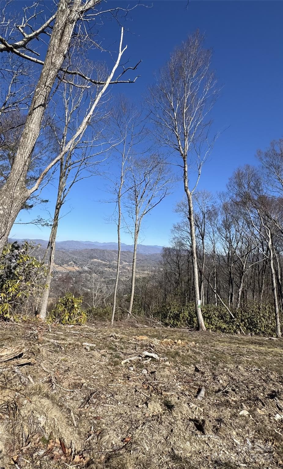 Lot at Hendersonville, photo 8 of 8