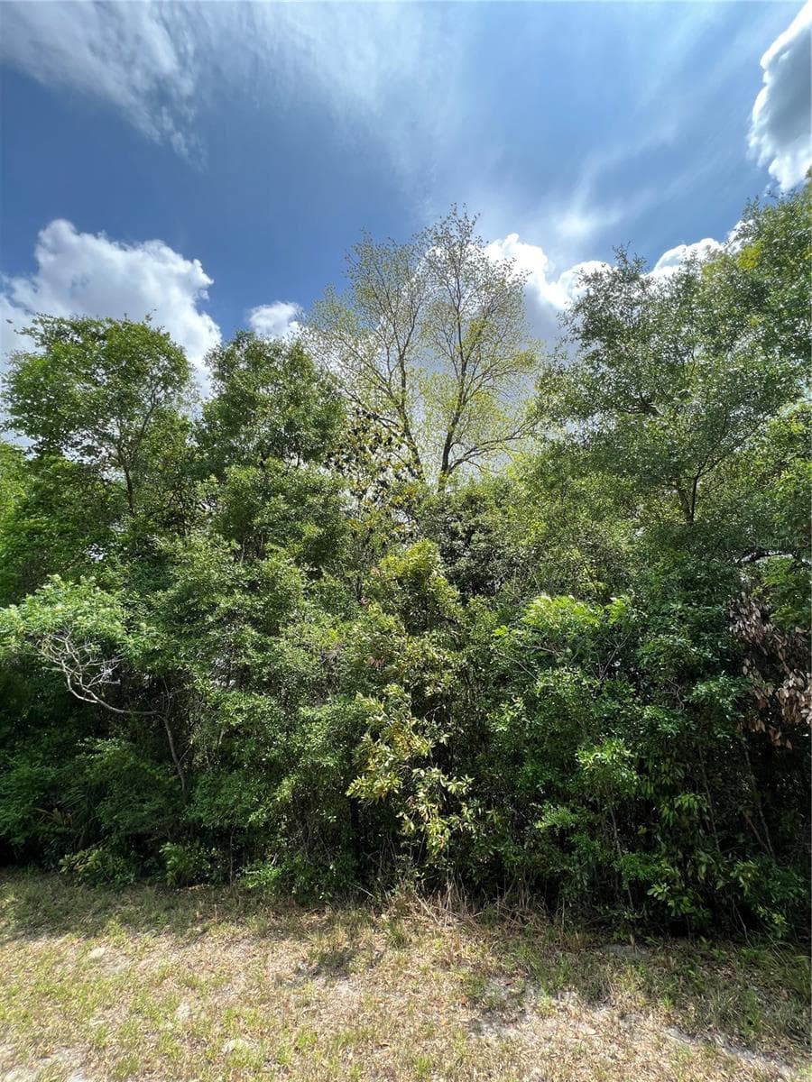 Land at 0 NW 70TH CIR, CHIEFLAND, photo 3 of 8