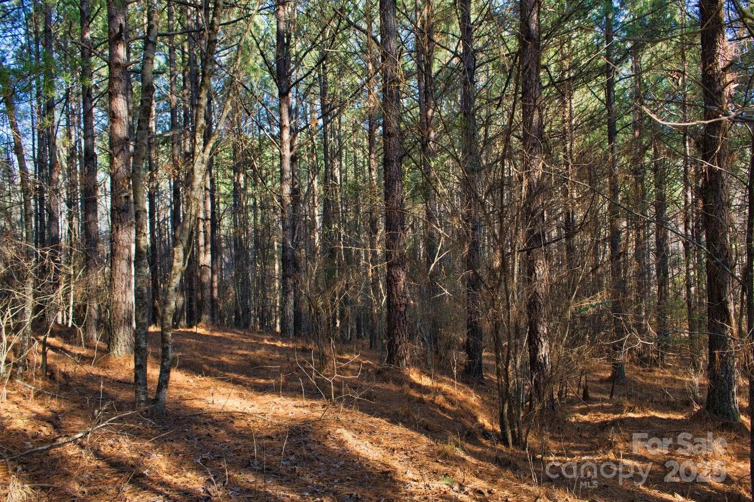 Lot at 0 Clearwater Parkway, Rutherfordton, photo 6 of 6