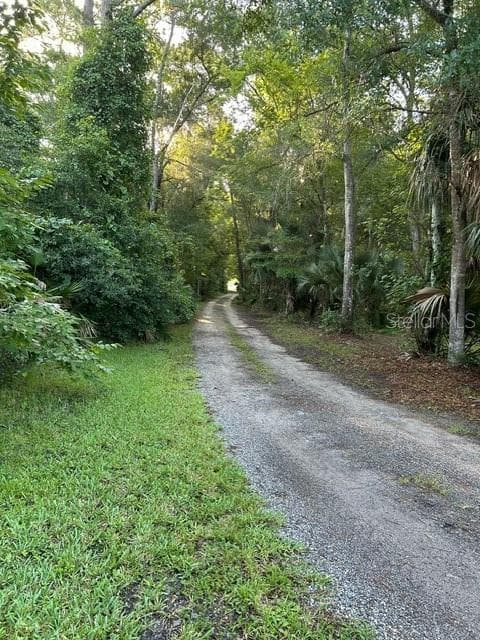Land at EUREKA HAMMOCK, SANFORD, photo 3 of 16
