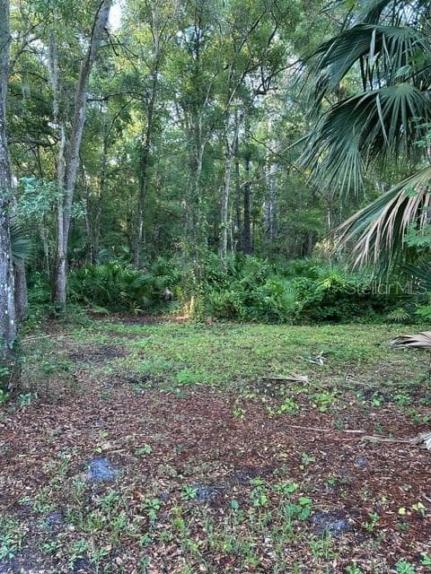 Land at EUREKA HAMMOCK, SANFORD, photo 4 of 16