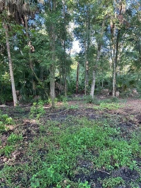 Land at EUREKA HAMMOCK, SANFORD, photo 7 of 16