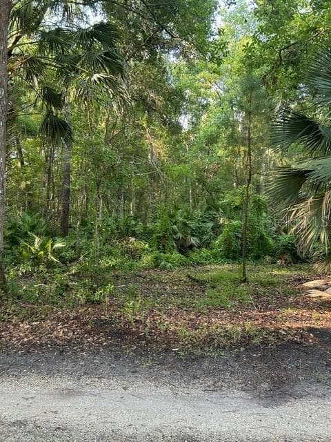 Land at EUREKA HAMMOCK, SANFORD, photo 12 of 16
